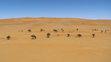 Ep104_DesertSolitude_EarthMoods_55.jpg