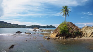 Ep103_TropicalSerenity_EarthMoods_23.jpg