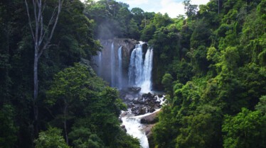Ep103_TropicalSerenity_EarthMoods_24.jpg