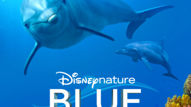 P_DolphinReef_TA_P67_2000X3000_fr-FR_V1_146886.png
