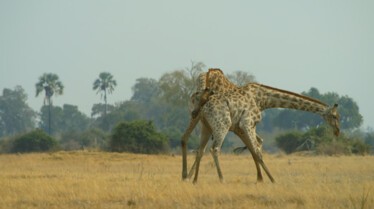 Ep406_TheCrown_SavageKingdom_LR_35.JPG