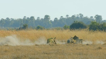 Ep406_TheCrown_SavageKingdom_LR_37.JPG