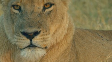 Ep406_TheCrown_SavageKingdom_LR_39.JPG