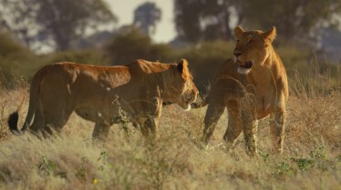 Ep401_SavageKingdom_LR_11.JPG