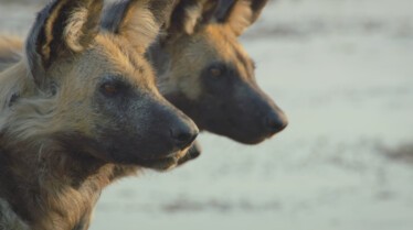 Ep401_SavageKingdom_LR_17.JPG
