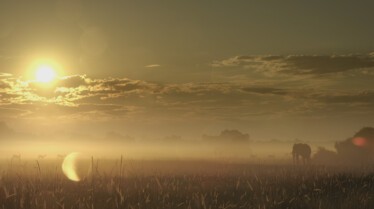 Ep401_SavageKingdom_LR_18.JPG