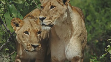 Ep401_SavageKingdom_LR_19.JPG