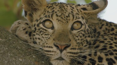 Ep401_SavageKingdom_LR_20.JPG