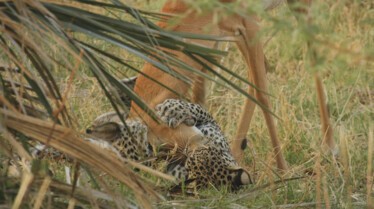 Ep401_SavageKingdom_LR_30.JPG