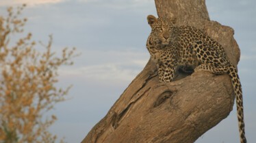 Ep401_SavageKingdom_LR_35.JPG