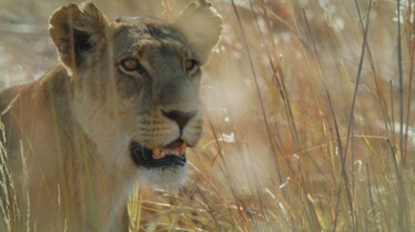 Ep401_SavageKingdom_LR_37.JPG
