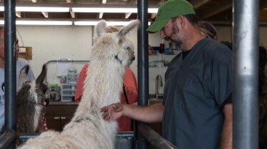 United Vets of America 27.jpg