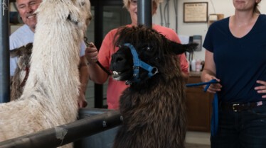 United Vets of America 28.jpg