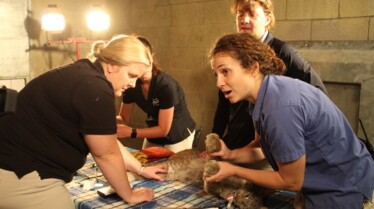 Ep307_SecretsOfTheZoo_04.jpg