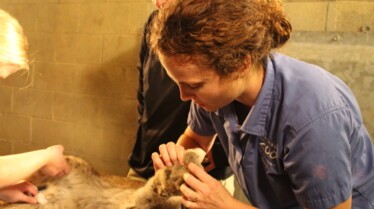 Ep307_SecretsOfTheZoo_11.jpg