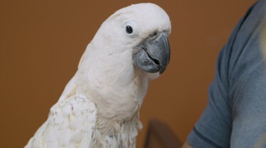 Ep612_DrKsExoticAnimalER_LR_005.jpg