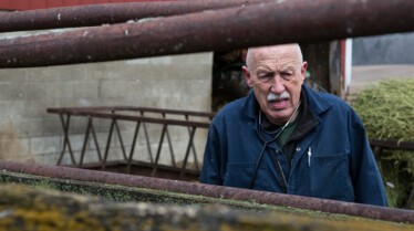 SpringFever_04_DrPol3.JPG
