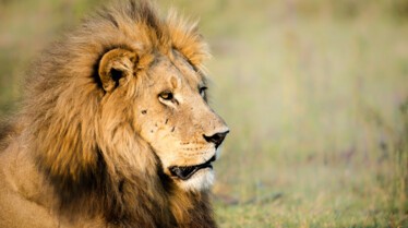 AMothersSacrifice_ep401_SavageKingdom_01.jpg