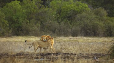 Ep403_DeathOfADream_SavageKingdom_LR_11.JPG