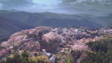 JAPAN FROM ABOVE ep 3 Honshu - Mount Yoshino ©NHK-GEDEON.jpg