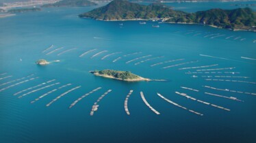 JAPAN FROM ABOVE ep 4 Chugoku - Seto inland sea- Aquaculture ©NHK-GEDEON.jpg