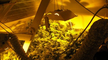 CokeKingsAndQueens_004_DrugsIncIII.jpg