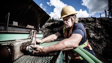 Yukon Gold 4.jpg