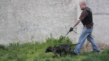 ChasingTheTopDog_19_PhillyUndercover.JPG