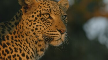 Ep405_OutcastsRising_SavageKingdom_LR_24.JPG