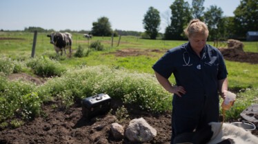 ILoveMoo_IncredibleDrPol_Ep801_06.jpg