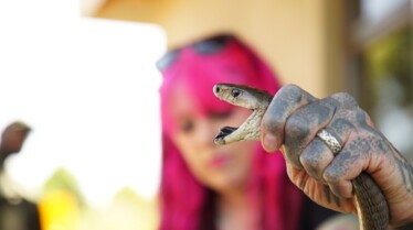 702_SnakesInTheCity_004.jpg