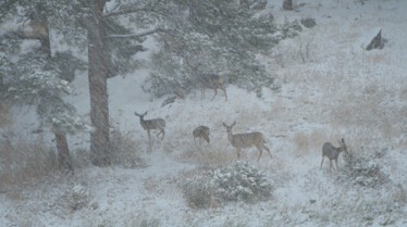 A la poursuite des Tornades  (17).jpg