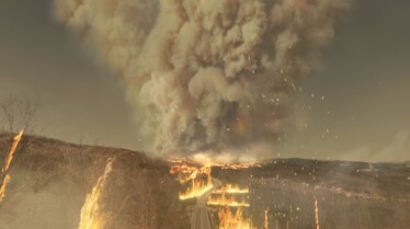 Au cœur du désastre  Feu de l’enfer au Portugal 2.jpg