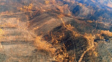 Au cœur du désastre  Feu de l’enfer au Portugal 3.jpg