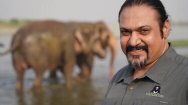 Les secouristes de la jungle  Au secours des éléphants 2.jpg