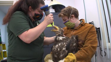 207_AlaskaAnimalRescue_011.jpg