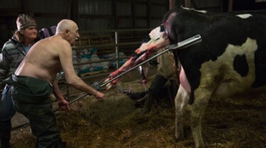 L'incroyable Dr Pol  Le SAMU des animaux 2.jpg