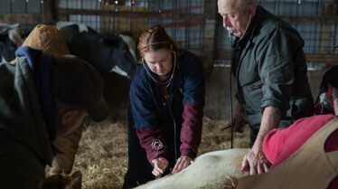 NightcapWithDrPol_Ep113_02.jpg