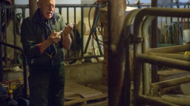 L'incroyable Dr Pol  Dix pour le prix d’un 4.jpg