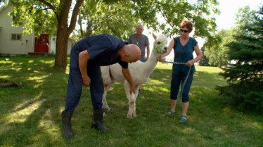L'incroyable Dr Pol  Professeur Pol 1.jpg