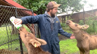 Alaska Animal Rescue 2.jpg