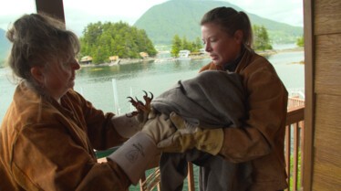 Alaska Animal Rescue 4.jpg