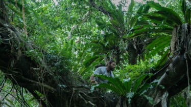 A l'epreuve d'une tribu animaux sauvages 4.jpg