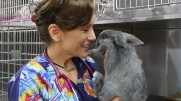 La clinique des animaux a la rescousse 3.jpg