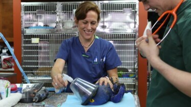 DR Ks Exotic Animal 3.jpg