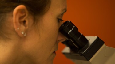DR Ks Exotic Animal 4.jpg
