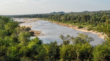 Afrique Royaume impitoyable 3.jpg