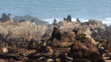 Afrique Royaume impitoyable 8.jpg