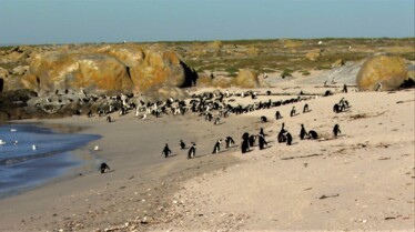 Afrique Royaume impitoyable 9.jpg