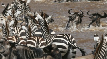 Ep1_010_Africas Blood River.JPG